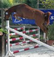 /album/photos-de-saut-dobstacles/telechargement-4-jpg1/